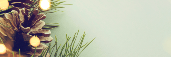 Gerne sind wir für Sie auch über die Weihnachtsfeiertage erreichbar: